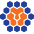 昆士兰狮队logo