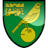 诺维奇logo